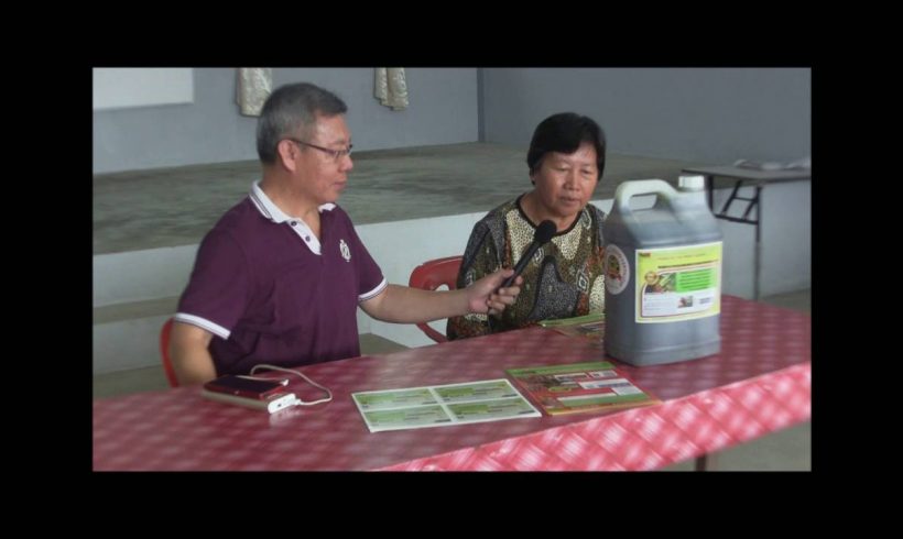 Organic Liquid Fertilizer Testimony Of Kampung Karanaan, Tambunan , Sabah, Malaysia (3)
