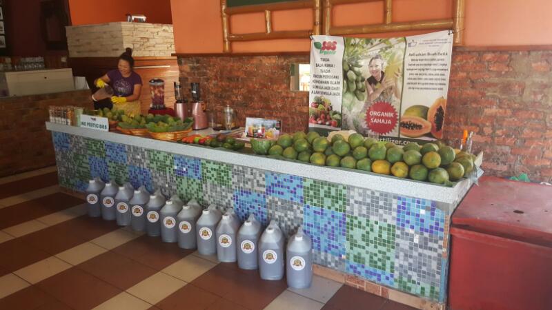 SOS organic liquid fertilizer testimony for papaya